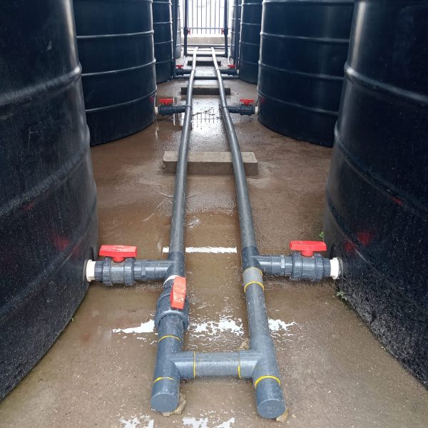 1396257d-2951-46ce-96bd-9a15766e6bc8